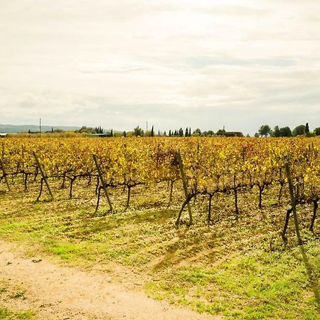 B&B Tina De Pacs, Close To Local Wineries Pacs del Penedes Luaran gambar