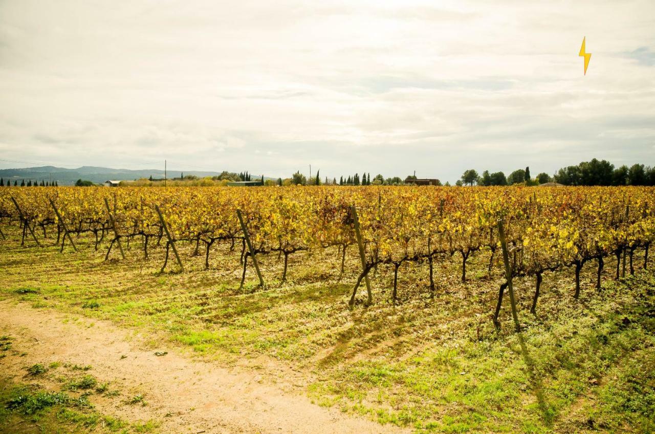 B&B Tina De Pacs, Close To Local Wineries Pacs del Penedes Luaran gambar